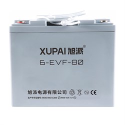 Тяговая аккумуляторная батарея  XUPAI 6-EVF-80 - фото 5034502
