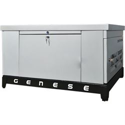 Газовый генератор Genese GE60 (в шумозащитном кожухе) - фото 5236271