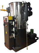 Вертикальный газовый парогенератор Alba D03-750