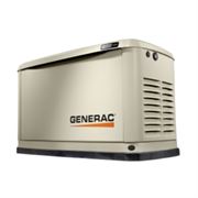 Газовый генератор GENERAC 7189 в кожухе