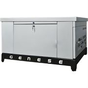Газовый генератор Genese GE60 (в шумозащитном кожухе)